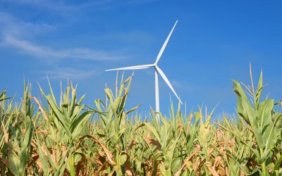 ECA advises Ministry of Energy in Romania on refinements to Green Certificate RE support scheme