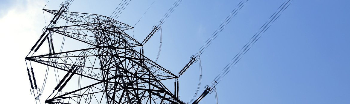 Advice on Electricity from Economic Consulting Associates