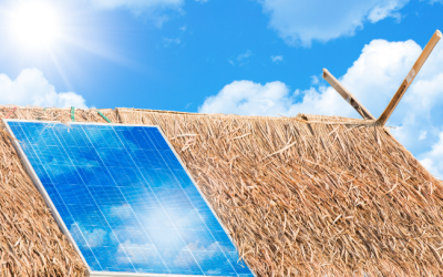 Off-grid market assessment in Mozambique