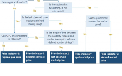 The price for solidarity: gas valuation during disruptions