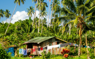 Fiji electricity tariff study