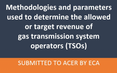ACER publishes ECA report on EU revenue-setting approaches for gas transmission