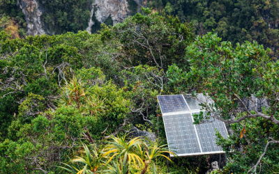 Review of REFIT Phase III in Uganda