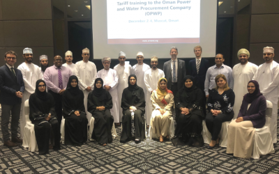 ECA and ERRA provide tailored electricity market training in Oman