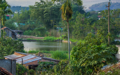 Development of a framework for green mini-grid electrification in the Gambia