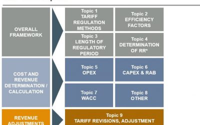 ECA to review regulatory approaches to setting revenues for electricity transmission and distribution