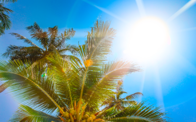 Power sector investments in the Pacific to improve climate resilience