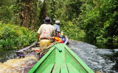 ECA offsets 300 tonnes of CO2 by funding restoration of peatlands in Indonesia