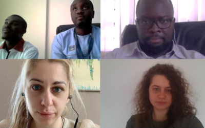 ECA provides training on green mini-grids in the Gambia