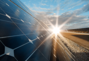 power plant solar panel close-up - with sun blazing on horizon