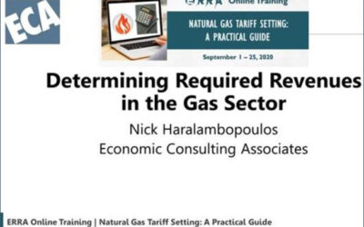 ECA Director delivering tariff training to regulatory staff in ERRA member organisations