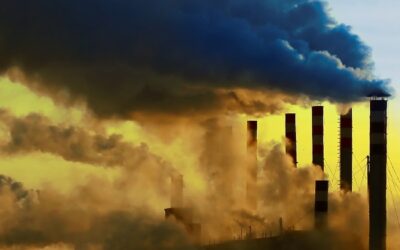 ASEAN climate market cooperation