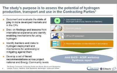 ECA presents preliminary findings of hydrogen study at joint ACER-ECS workshop