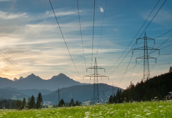 Exploring decarbonisation incentive options for electricity network firms